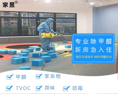 靜安普陀虹口區專業除甲醛公司新房新車祛除異味空氣治理服務